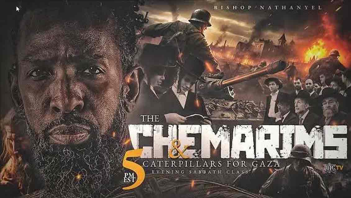 The Chemarims, Caterpillars For Gaza