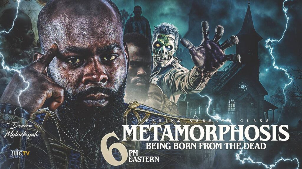 Metamorphosis: Being Born From The Dead